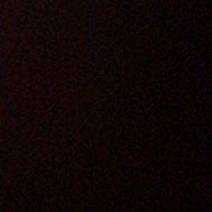 Meet your Posher, Sandy